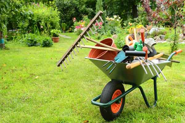 gardening-tools-for-begineers